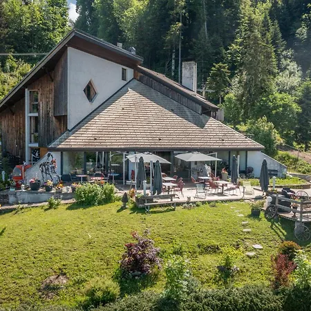 Le Jorat - Bogeve