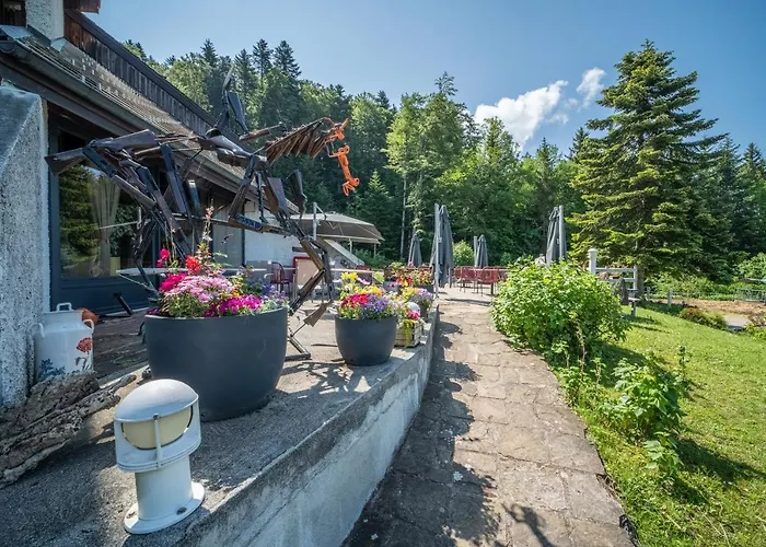 Le Jorat - * Bogeve